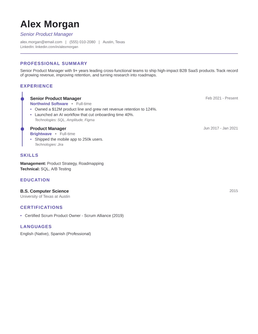 Elegant Timeline resume template preview