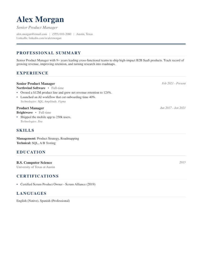 Executive Professional resume template preview