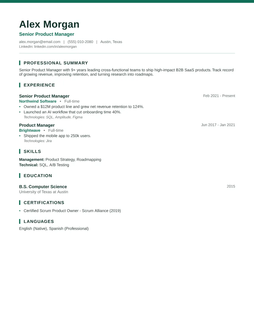 Healthcare Professional resume template preview