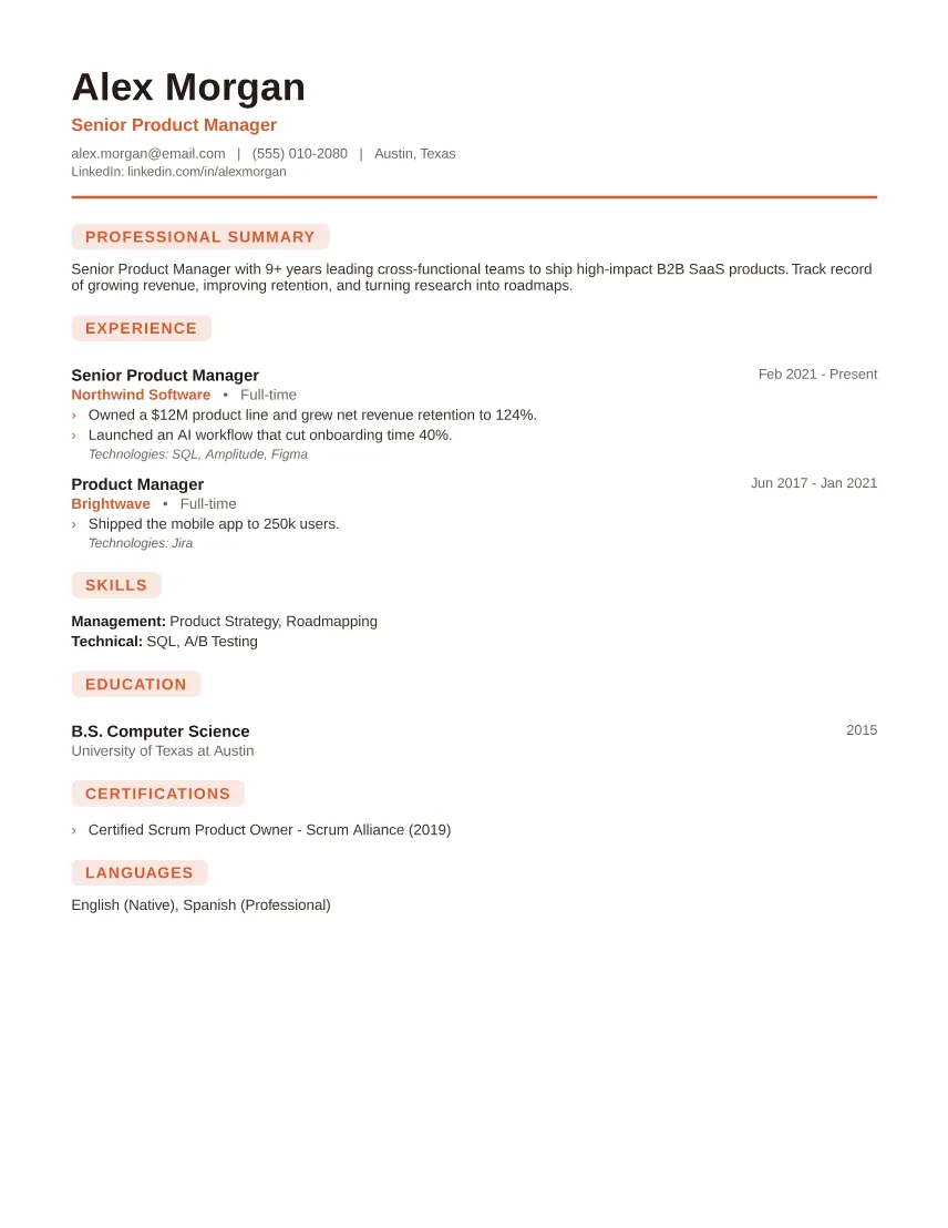 Startup Professional resume template preview