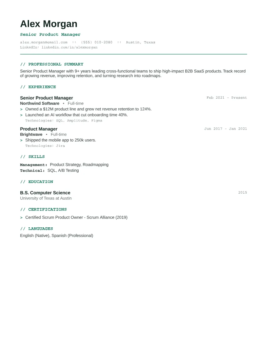 Tech Developer resume template preview